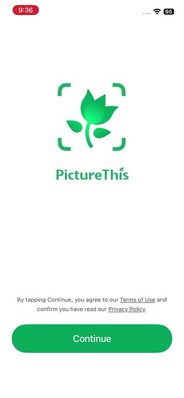 PictureThis 1