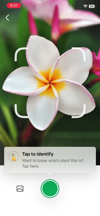 PictureThis 10