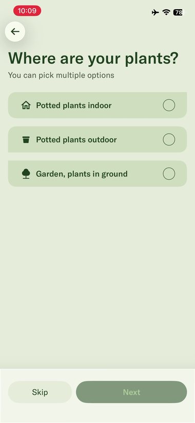 Planta 4
