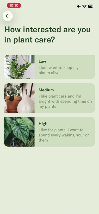 Planta 5