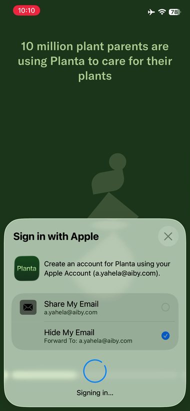 Planta 13