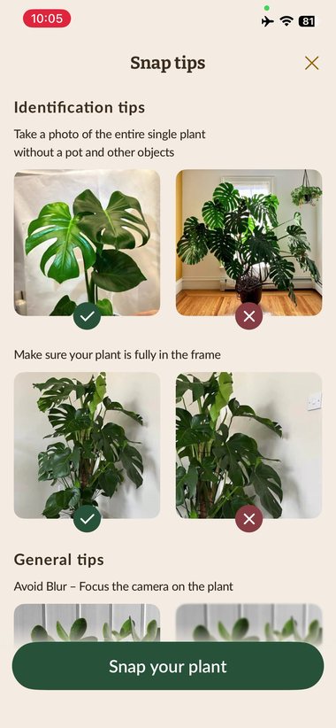 Plantaria 12